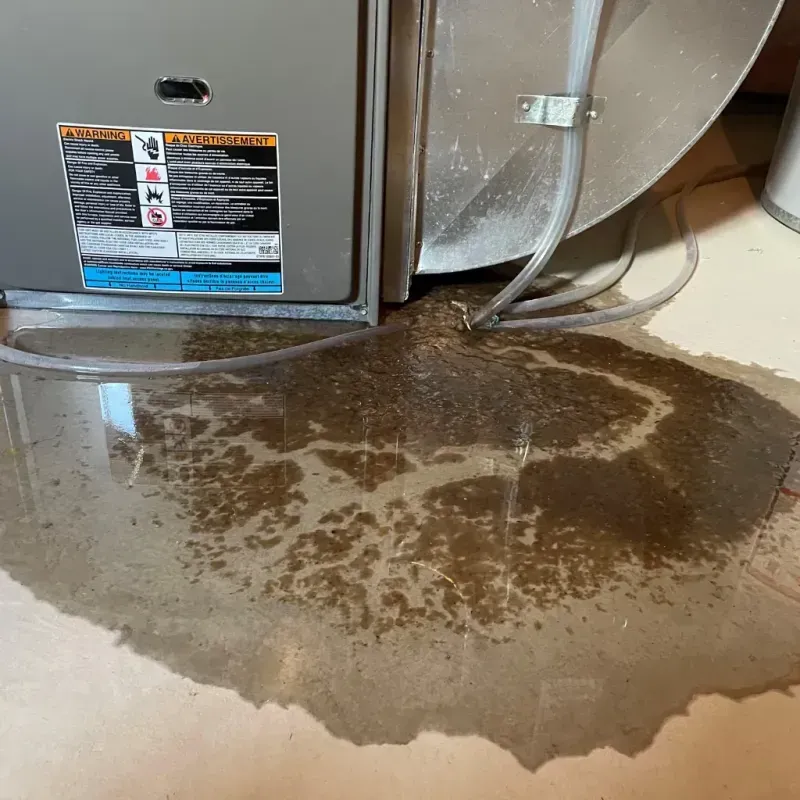 Appliance Leak Cleanup in Carmi, IL